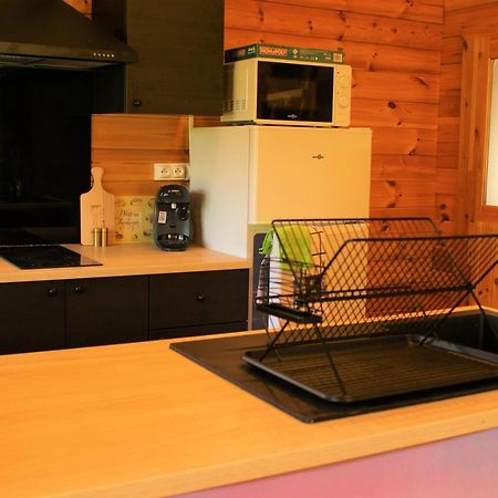 Chalet Pyreneen Saint-Ybars Extérieur photo
