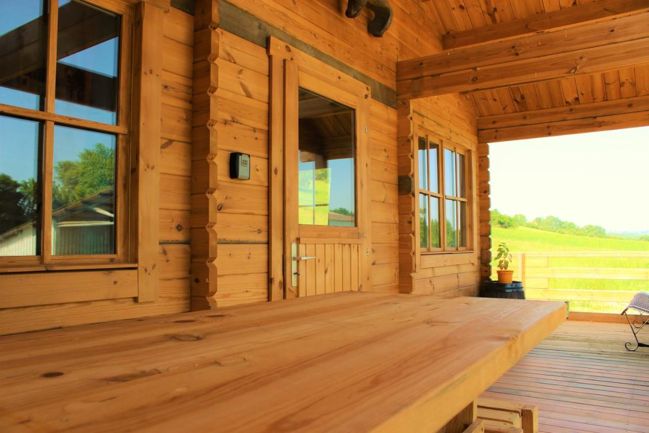 Chalet Pyreneen Saint-Ybars Extérieur photo